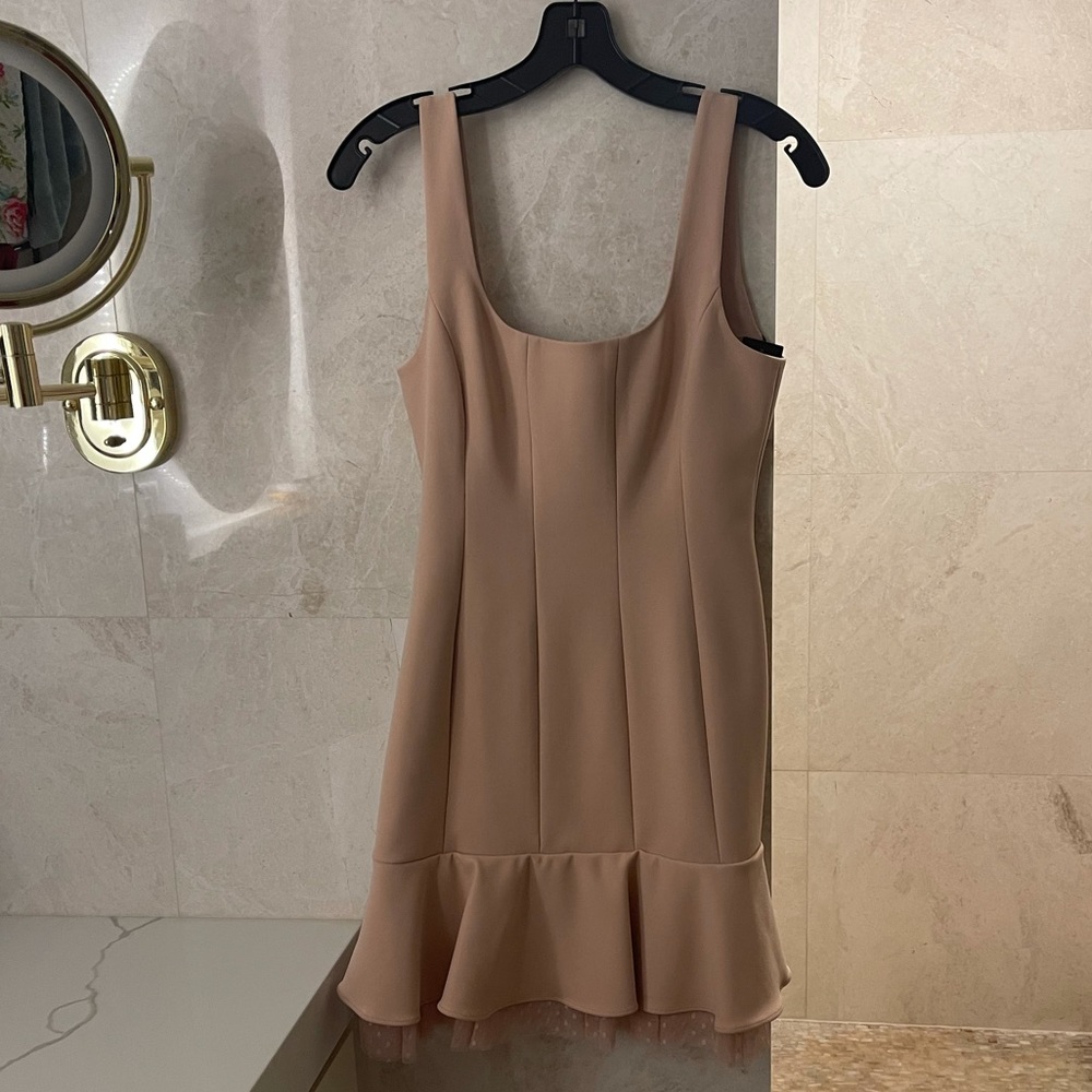 NWT! BCBG blush nude dress!